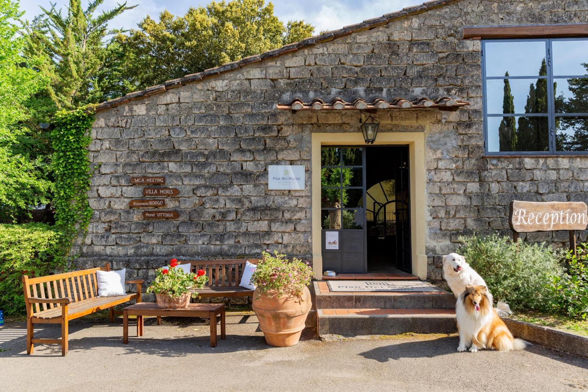 Pian Dei Mucini Resort Massa Marittima Eksteriør bilde